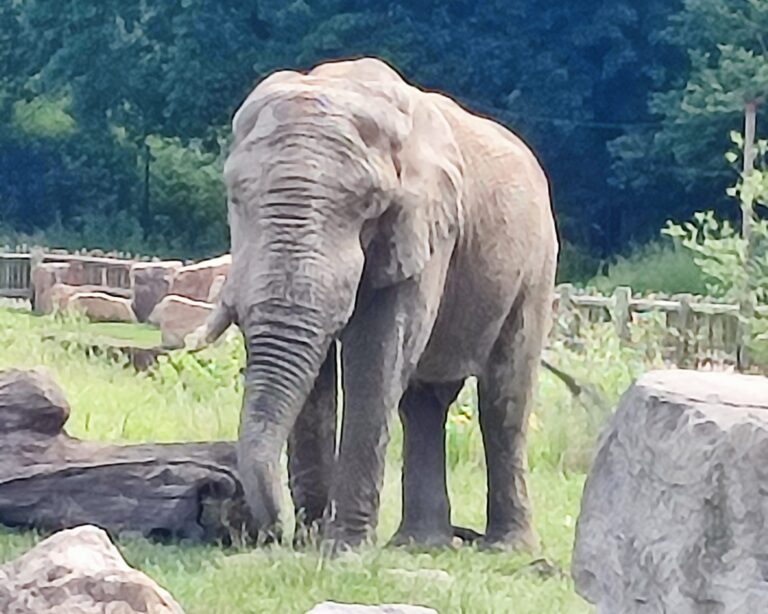 Školní výlet ZOO Lešná Zlín