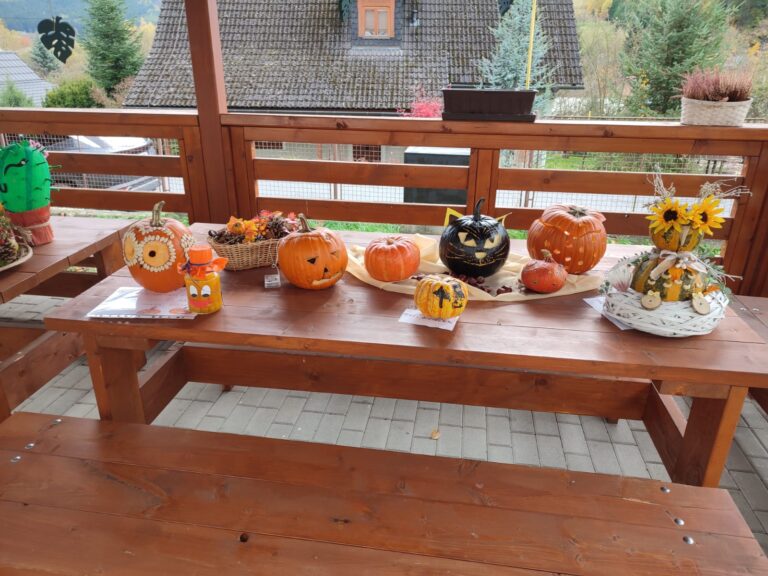 Výstava dýní na naší škole